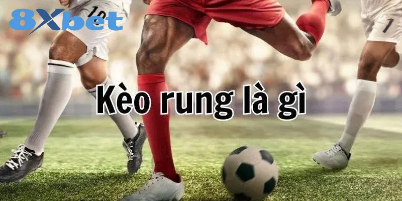 Thông tin về kèo cược rung tại 8xbet