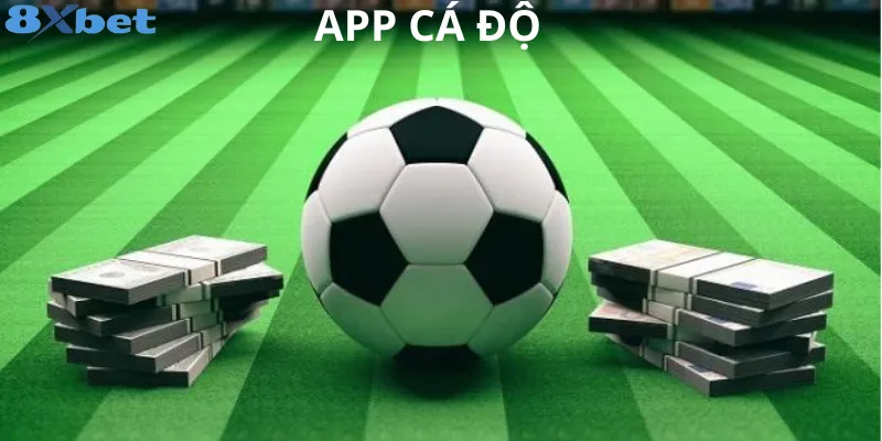 Thế giới app cá độ: cơ hội, thách thức và rủi ro cần biết Tìm hiểu thế giới của app cá độ