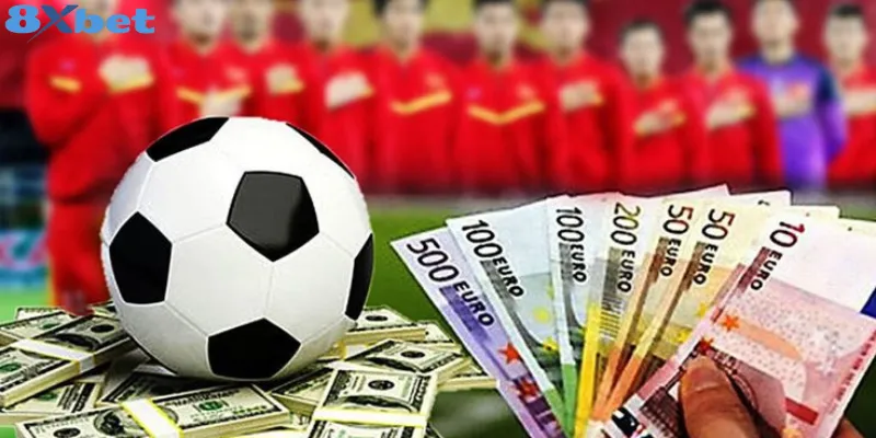 Lý do nên chọn nhà cái 8xbet chơi cá cược bóng đá Một số lưu ý quan trọng khi cá cược bóng đá