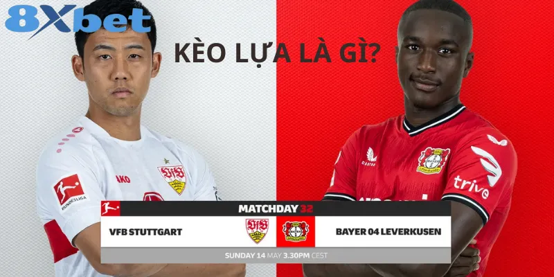 Hướng Dẫn Cách Chọn Kèo Lựa Và Tỷ Lệ Kèo Cược Phổ Biến Kèo Lựa Là Gì? Tìm Hiểu Về Khái Niệm Và Lợi Ích