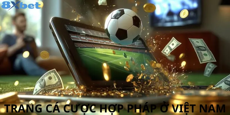 Top trang cá cược hợp pháp ở việt nam – Uy tín nhất Top nhà cái uy tín tại Việt Nam - 8xbet