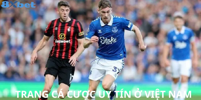 Top trang cá cược hợp pháp ở việt nam – Uy tín nhất Sân chơi cá cược AW8